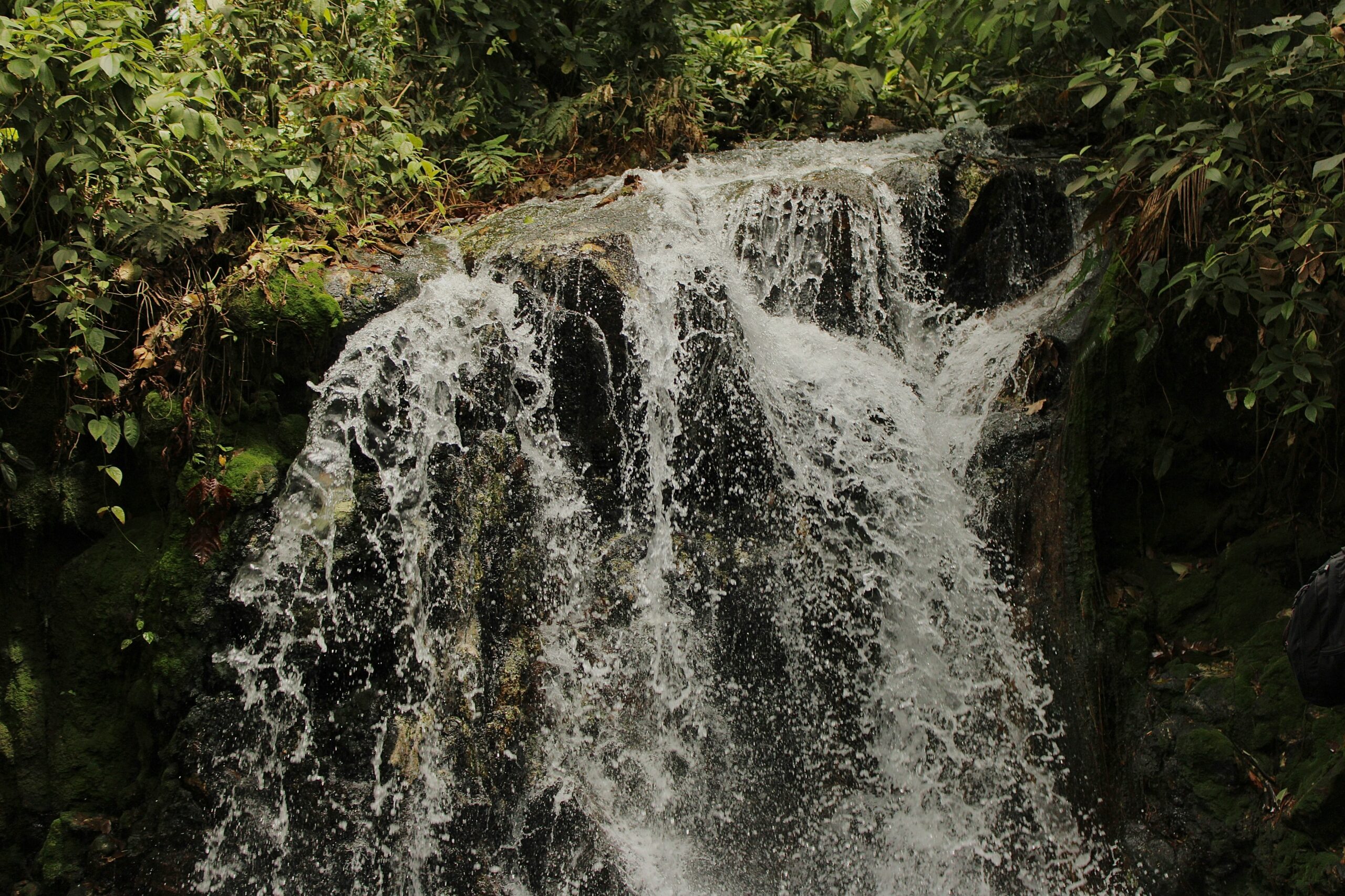 AWA 